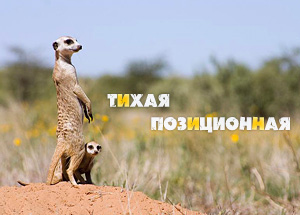 Форекс стратегия Тихая позиционная