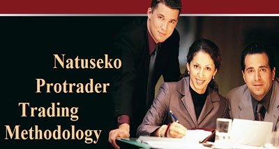 Стратегия Форекс Natuseko Protrader